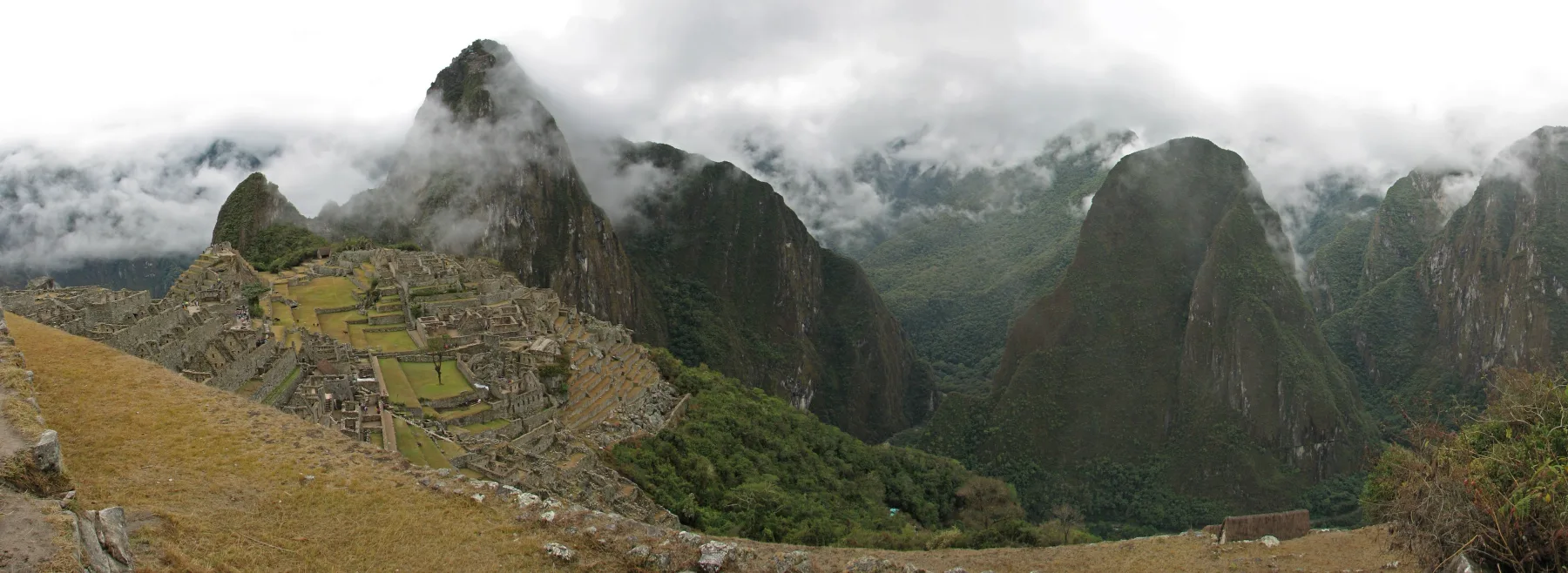 De stenen gebouwen en terrassen van Machu Picchu, met steile groene bergen in de wolken.